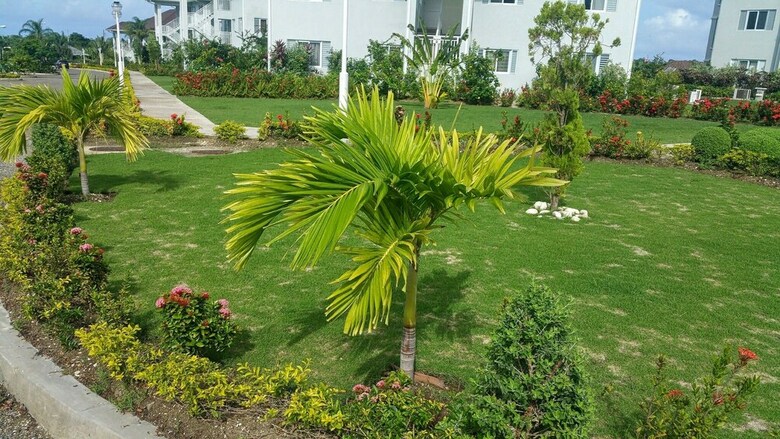 Oceanic View Apartment At Fern Court