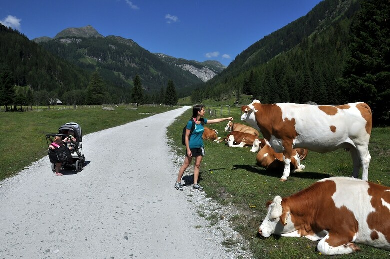 Chaletdorf Fanningberg
