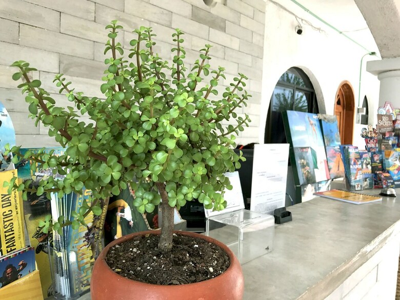 Hotel Villas San Ignacio