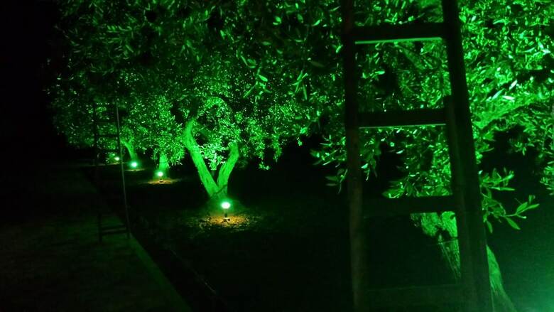 Agroturismo Agrisicilia
