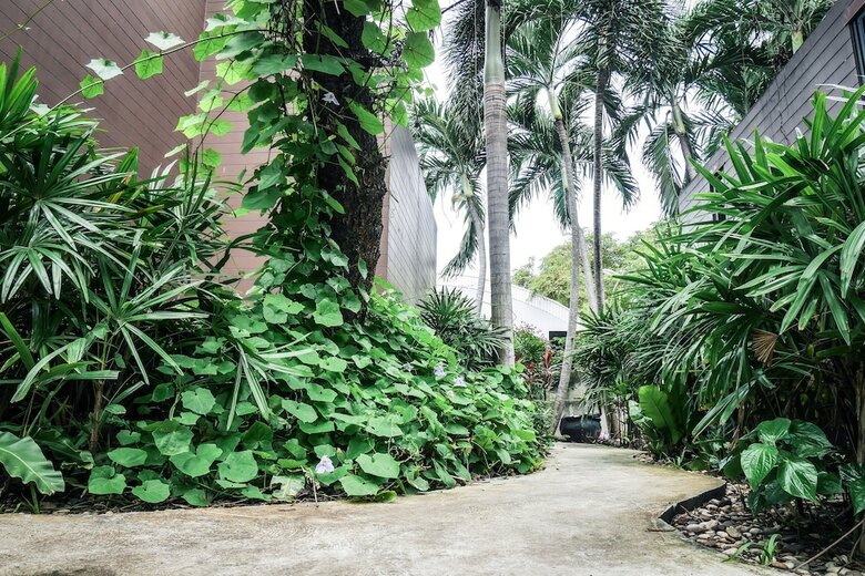Hotel Villa Navin Resort
