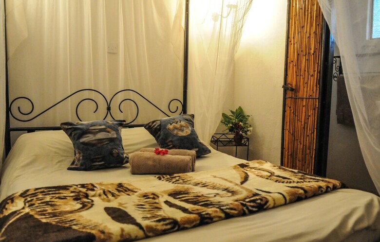 Hostal Zig Zag Town Lodge - Hostel