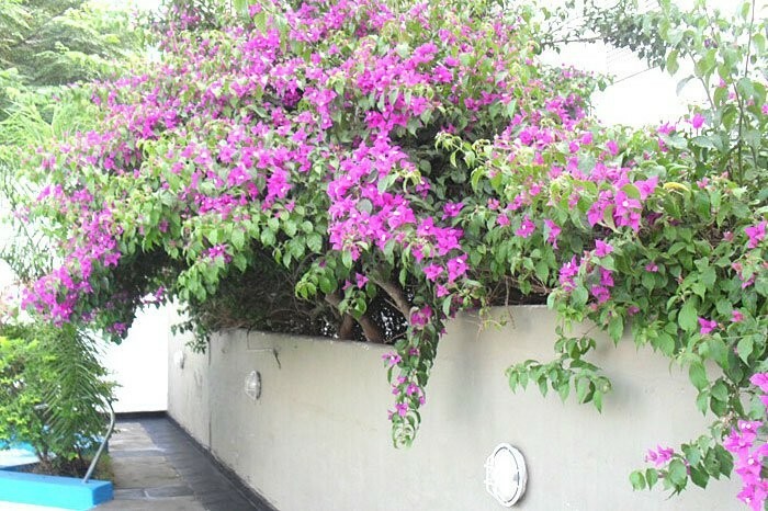 Hotel Emperatriz
