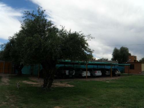 Lodge Caba�as Terra Olivo