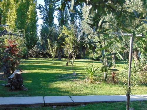 Lodge Caba�as Terra Olivo