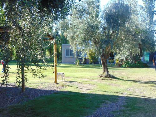 Lodge Caba�as Terra Olivo