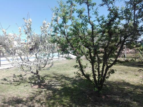 Lodge Caba�as Terra Olivo
