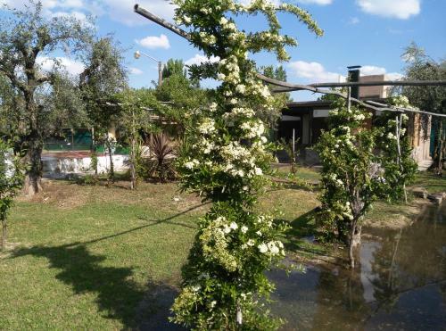 Lodge Caba�as Terra Olivo
