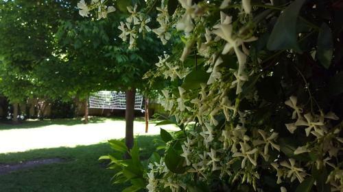 Lodge Apart Caba�as Oasis Del Valle