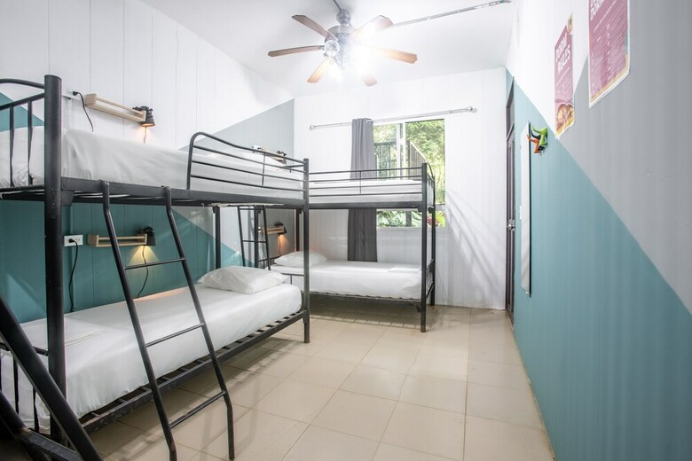 Hostal Selina Red Frog