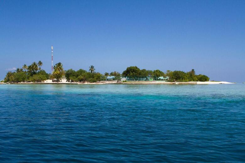 Tropic Tree Hotel Maldives
