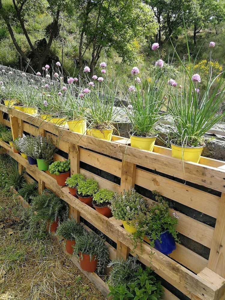Agroturismo Viola Nel Parco
