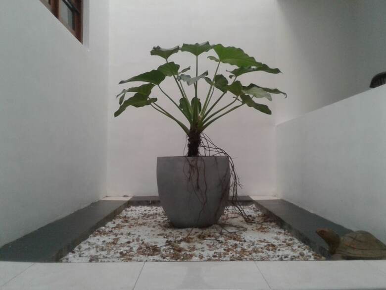 Hotel Villa Comfort