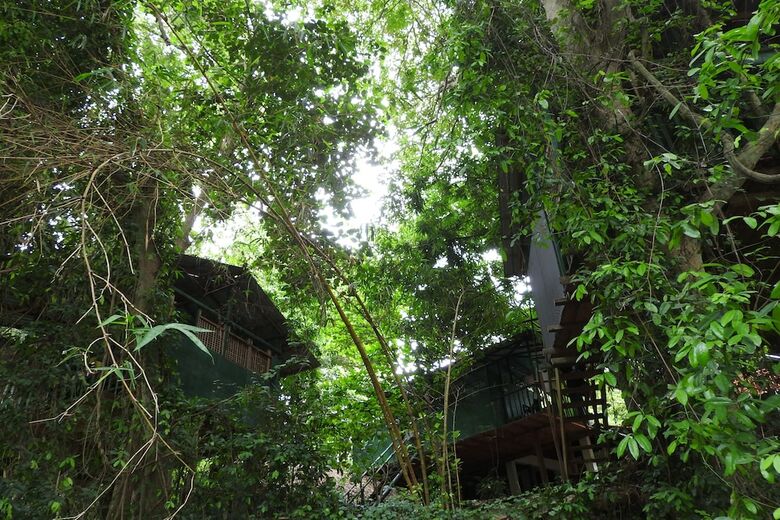 Hotel Riverside Cabana Yala