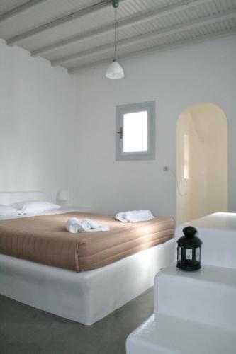 Hotel Vista Loca
