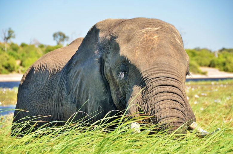 Posada Thebe River Safaris