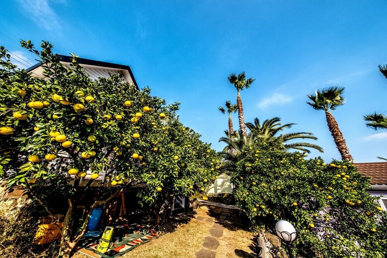 The May Of Jeju House Pension