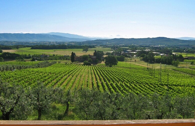 Agroturismo Petrolo