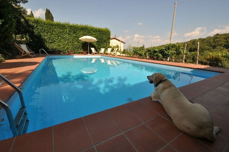 Agroturismo Petrolo