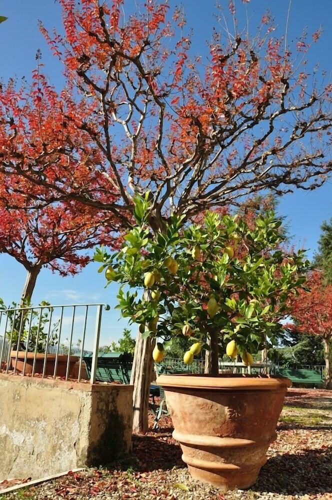 Agroturismo Petrolo