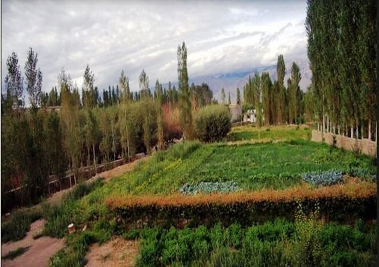 Beyond Stay - Hotel Ladakh Heaven