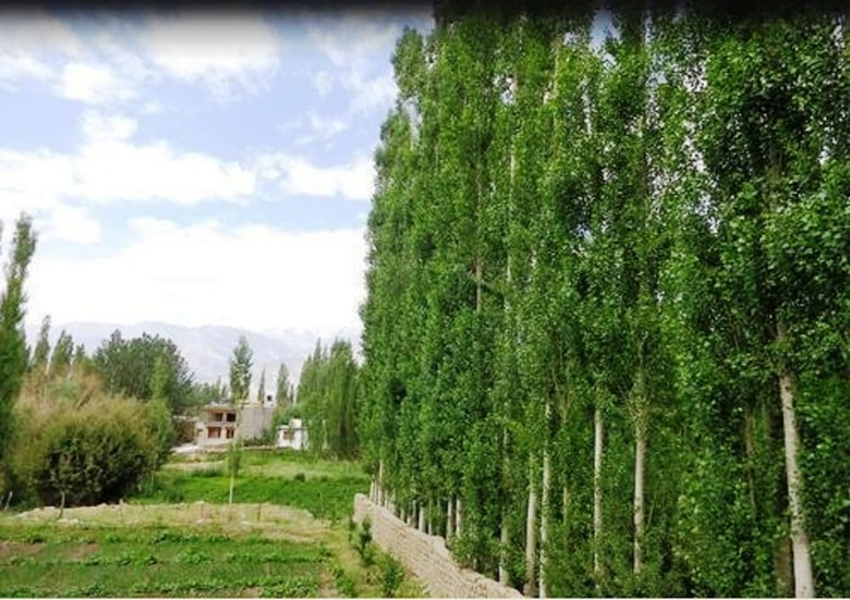 Beyond Stay - Hotel Ladakh Heaven