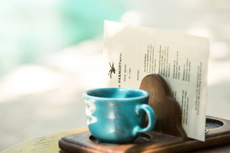 The Harmony Hotel