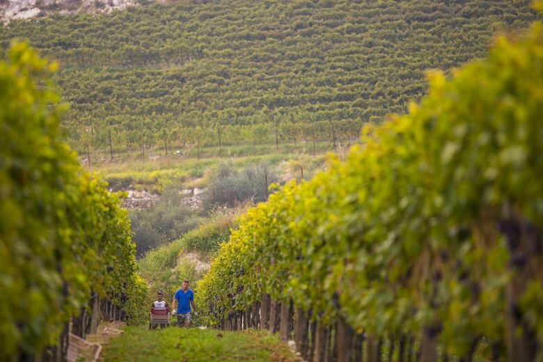 B&B Boutique Osteria Della Pieve