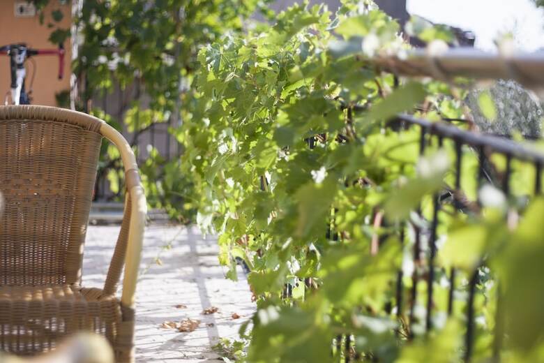 B&B Boutique Osteria Della Pieve