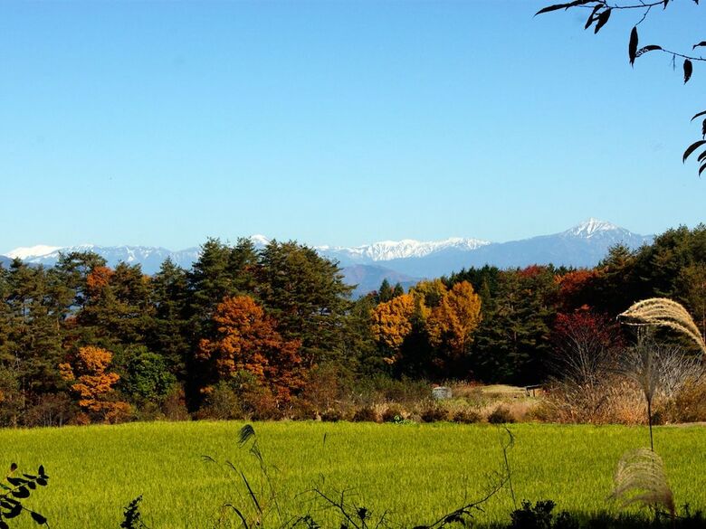 Hotel Pension Good Luck Takayama