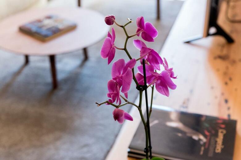 Aparthotel Flora Chiado Apartments