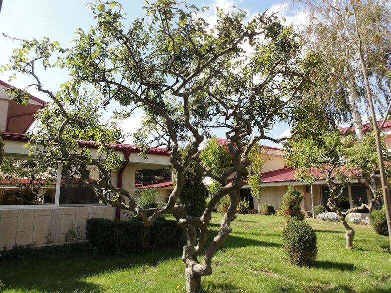 Hotel Vox Maris Grand Resort
