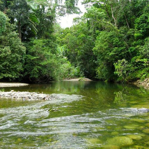 Lodge Daintree Crocodylus Village