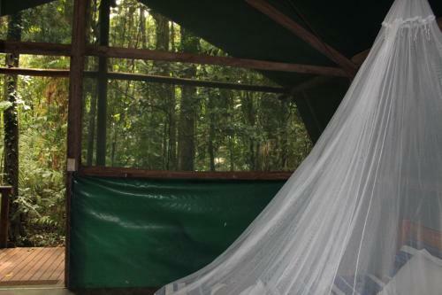 Lodge Daintree Crocodylus Village