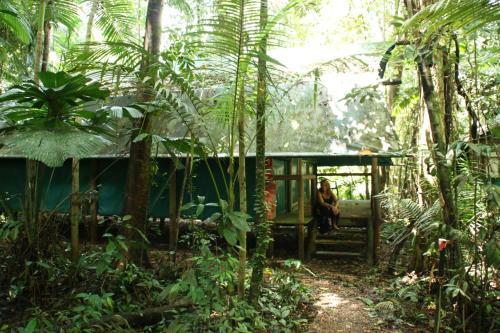 Lodge Daintree Crocodylus Village