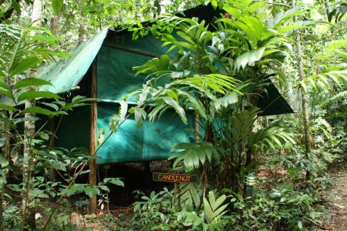 Lodge Daintree Crocodylus Village