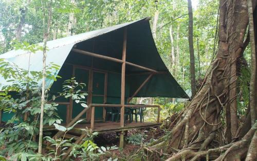 Lodge Daintree Crocodylus Village