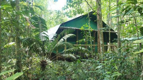 Lodge Daintree Crocodylus Village
