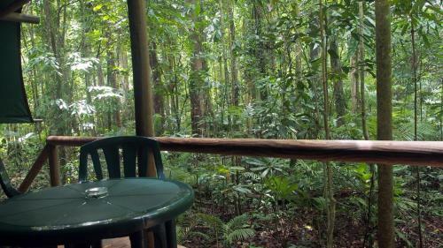 Lodge Daintree Crocodylus Village