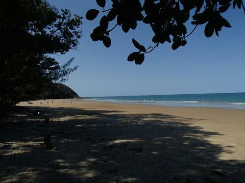 Lodge Daintree Crocodylus Village