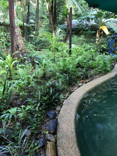 Lodge Daintree Crocodylus Village