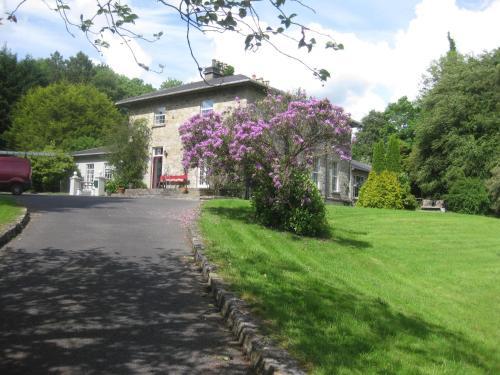 Hostal Glebe House
