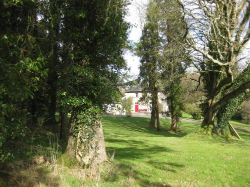 Hostal Glebe House