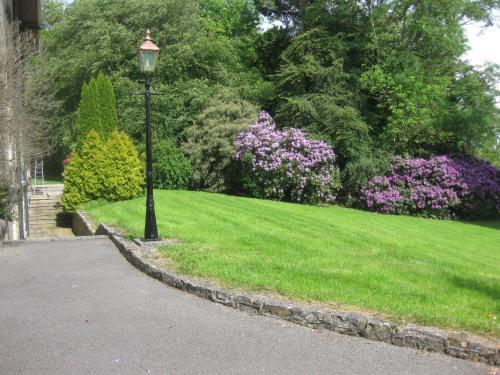 Hostal Glebe House