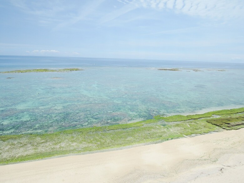 Apartamentos Beach Resort Morimar