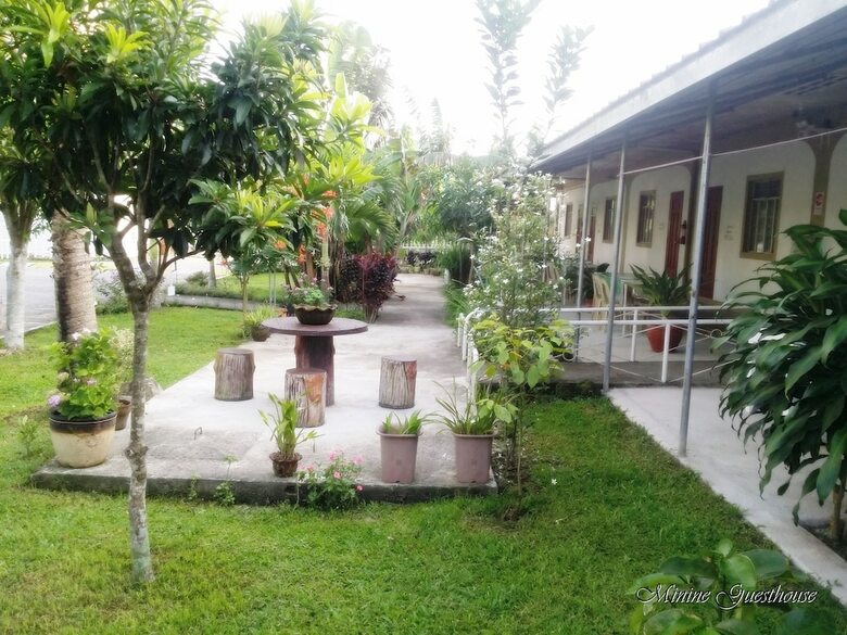 Hotel Minine Guesthouse