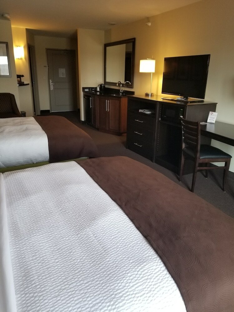 Hotel Americinn By Wyndham Dewitt