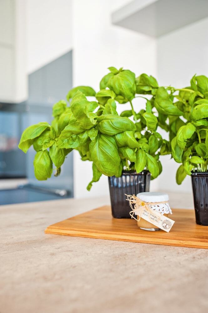 Apartamenty Homely Place Old Town