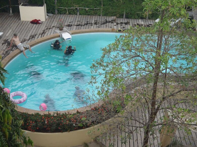 Hotel Silver Sands Beach Resort