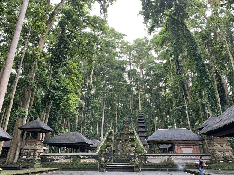 Hotel Angel House Ubud